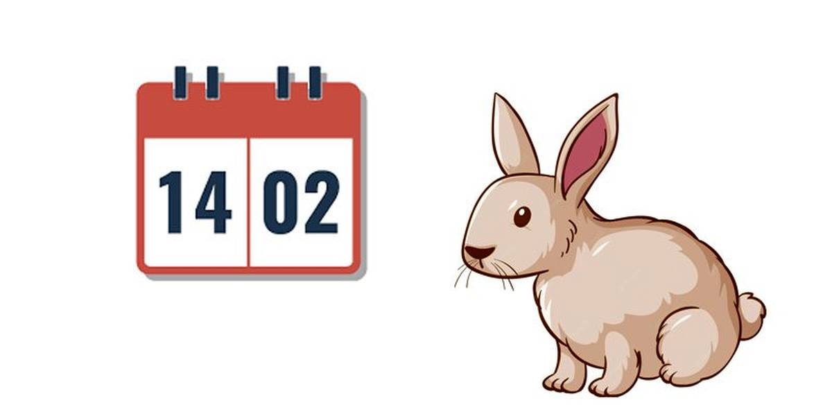 تقویم سال 1402 + مناسبت ها و تعطیلات سال 1402